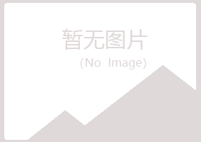 邛崃白山化学有限公司